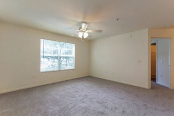 Ceiling fans